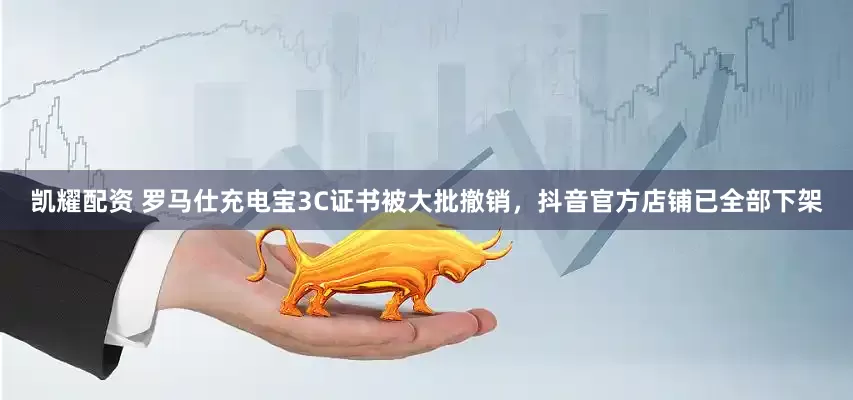 凯耀配资 罗马仕充电宝3C证书被大批撤销，抖音官方店铺已全部下架
