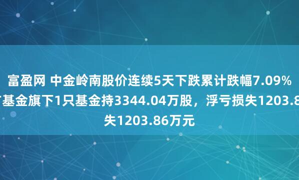 富盈网 中金岭南股价连续5天下跌累计跌幅7.09%，南方基金旗下1只基金持3344.04万股，浮亏损失1203.86万元